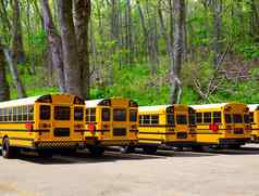 美国典型的学校公共汽车行森林户外