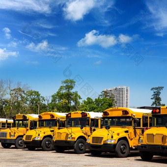 美国典型的学校公共汽车行停车很多