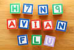 禽流感流感玩具块