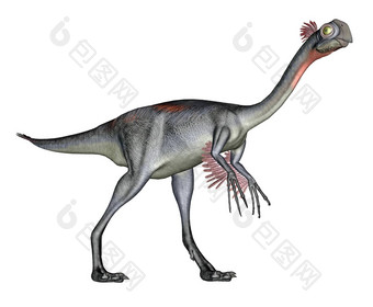 gigantoraptor恐龙