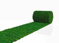 卷草地毯