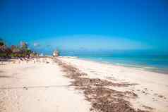 热带废弃的完美的海滩异国情调的度假胜地