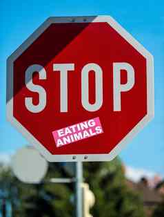 停止吃动物