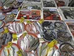 香港旺角湿市场鱼