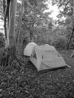 黑色的白色帐篷露营地