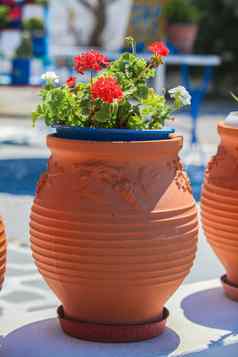 传统的希腊红色的花盆花圣托里尼岛岛希腊