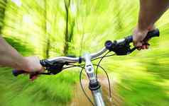 骑自行车森林