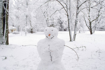 雪男人。手胡萝卜鼻子树灰白色霜公园
