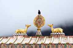 神圣的佛教象征轮佛法鹿尼泊尔