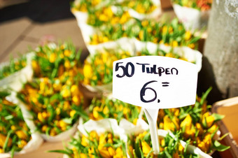 阿姆斯特丹花市场