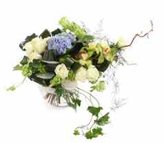 花安排白色玫瑰艾薇兰花孤立的图像白色背景花束装饰三叶草花作文