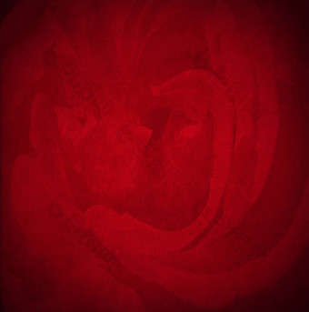 红色的<strong>天鹅绒</strong>背景玫瑰花