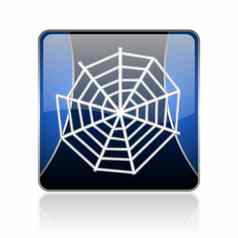 蜘蛛网络蓝色的广场网络光滑的图标