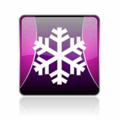 雪花紫罗兰色的广场网络光滑的图标