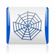 蜘蛛网络蓝色的广场网络光滑的图标