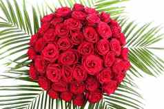 巨大的花束红色的玫瑰孤立的图像白色背景
