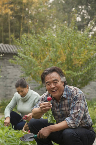 高级夫妇花园