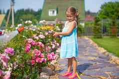 可爱的女孩浇水花软管花园