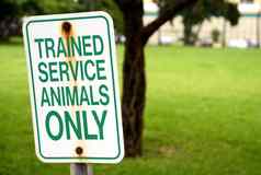训练有素的服务动物标志公园夏天