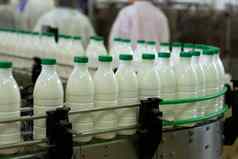 乳制品植物输送机牛奶瓶