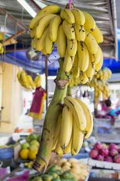 成熟的黄色的香蕉群水果摊位