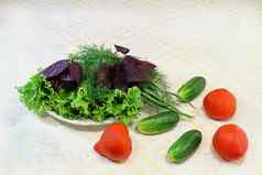 生菜莳萝洋葱蔬菜西红柿黄瓜