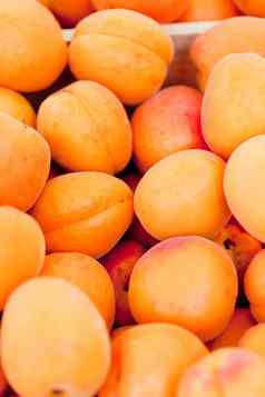 新鲜的橙色红色的杏子桃子宏特写镜头市场