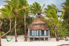 热带海滩房子海洋海岸棕榈树