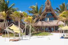 奢侈品酒店热带度假胜地海洋海岸棕榈树