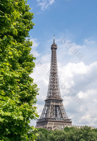 埃菲尔铁塔塔巴黎之旅埃菲尔铁塔包围树