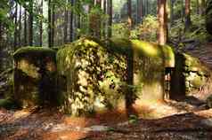 战争地堡隐藏的多叶的森林