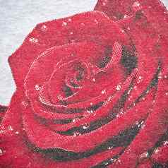 红色的玫瑰织物纹理背景