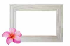窗口框架孤立的白色背景花