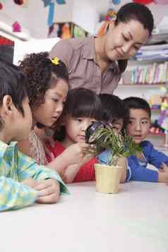 学生植物放大玻璃