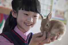 女学生持有宠物兔子教室