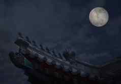 特写镜头华丽的屋顶瓷砖中国人建筑月亮背景晚上