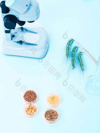 种子主题选择微生物实验室
