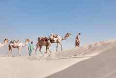 商队贝都因人骆驼白色沙丘