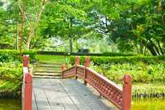 不错的木桥公园夏季