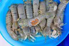 螳螂虾小龙虾新鲜的海鲜市场