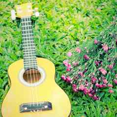 尤克里里琴吉他绿色草花