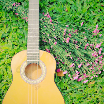 尤克里里琴吉他绿色草花