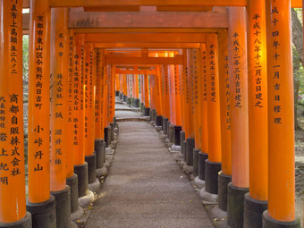 鸟居门伏见inari神社《京都议定书》