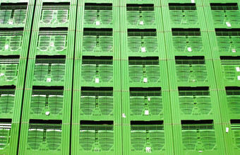绿色水果包装板条箱
