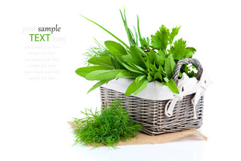 绿色草本植物编织篮子孤立的白色背景