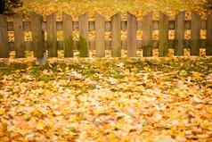 小木栅栏黄色的叶子秋天