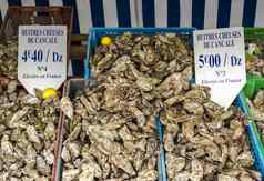 牡蛎市场法国布列塔尼坎卡勒中心牡蛎农业