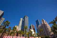 市中心这些洛杉矶潘兴广场棕榈一绺头发