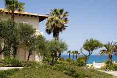 房子棕榈树背景蓝色的海希腊