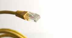 黄色的网络电缆连接器白色背景